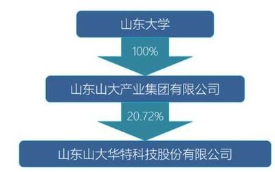 山東國投擬入主山大華特，軟件技術(shù)服務(wù)板塊迎新局